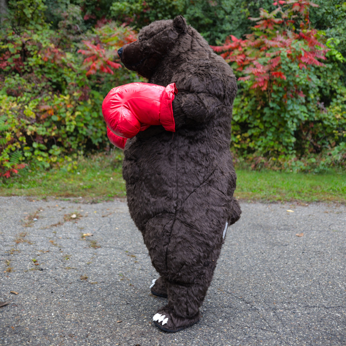 Giant Inflatable Boxing Bear Costume - Premium Chub Suit®