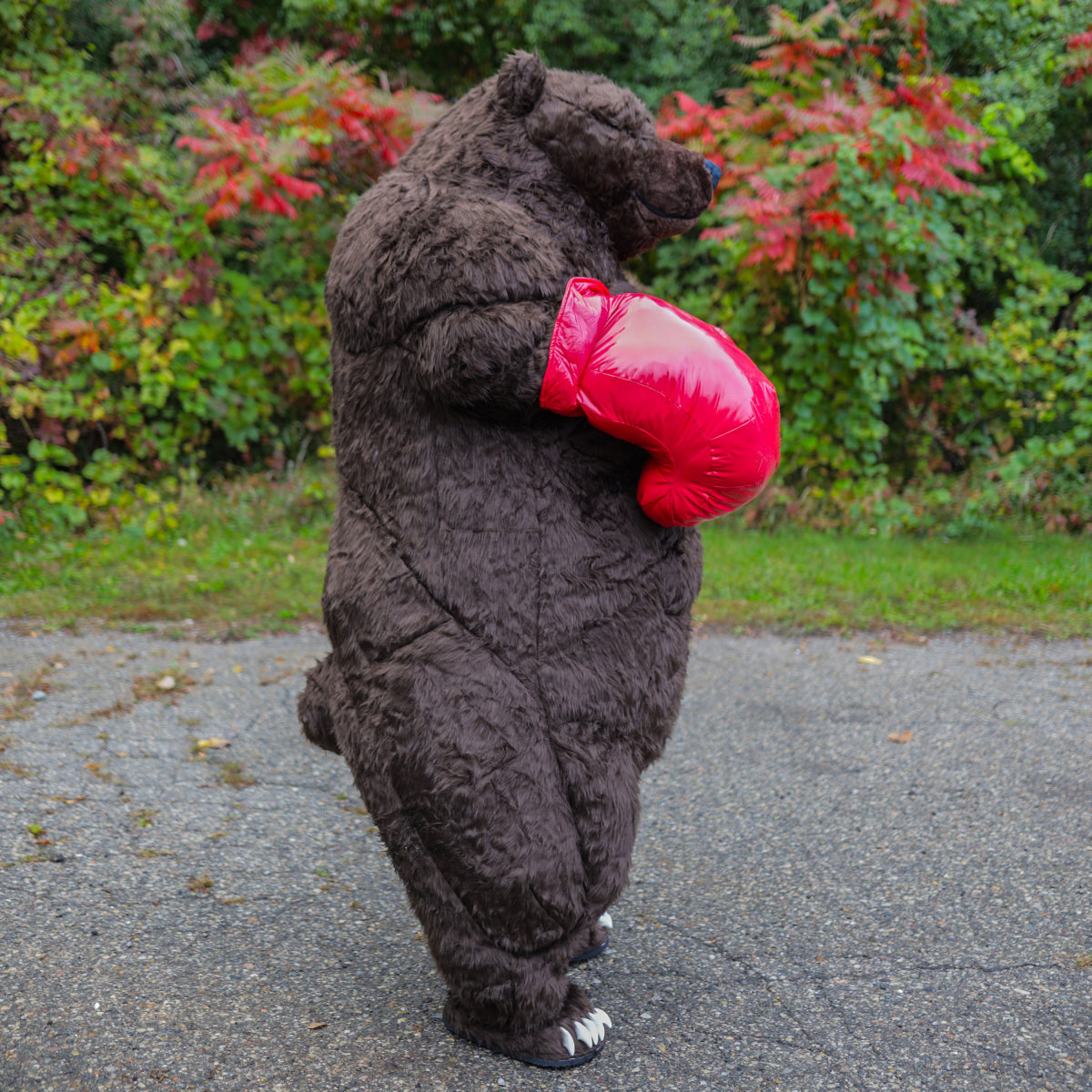 Giant Inflatable Boxing Bear Costume - Premium Chub Suit®